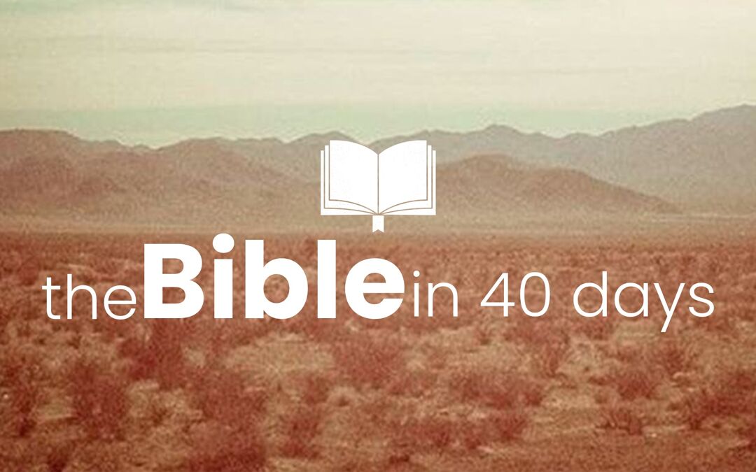 the-bible-in-40-days