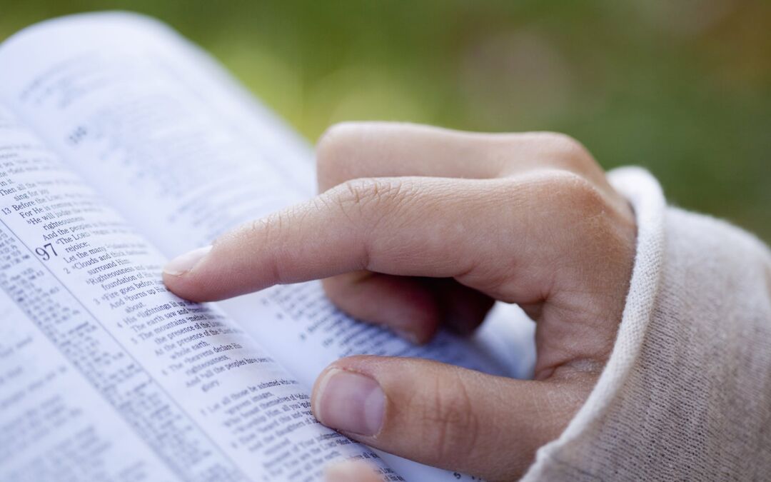 Preparing for the Bible in 40 Days Plan